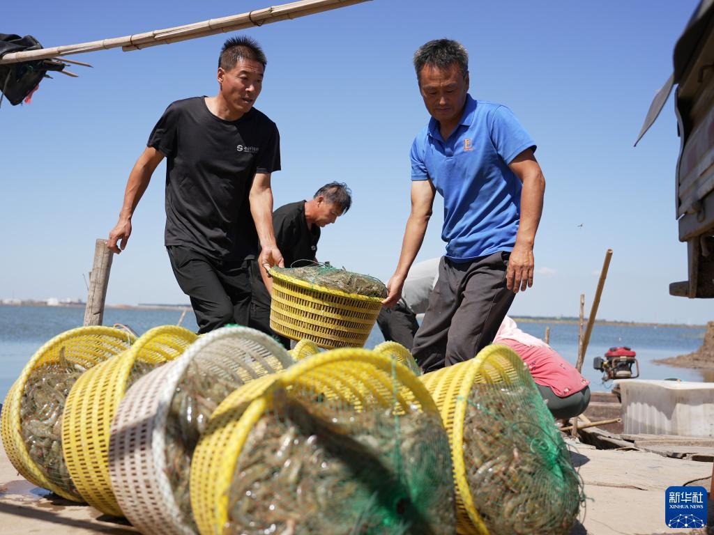 捕鱼大作战下载
